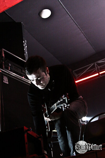Ulver