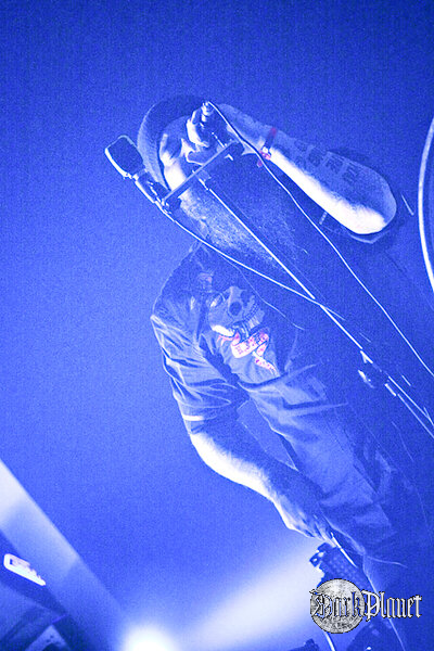 Ulver