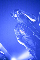Ulver