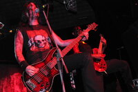 Varg