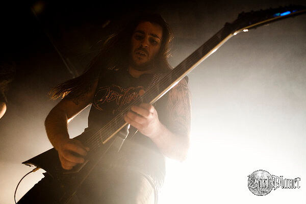 Suicidal Angels