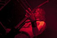 Ensiferum