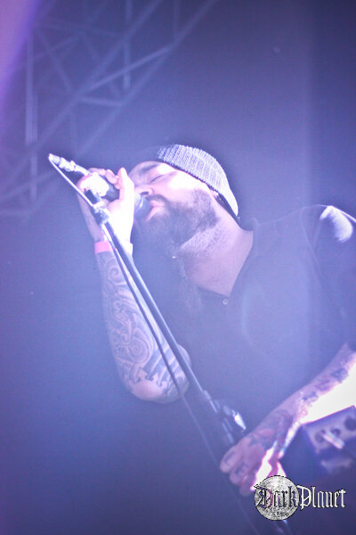 Ulver