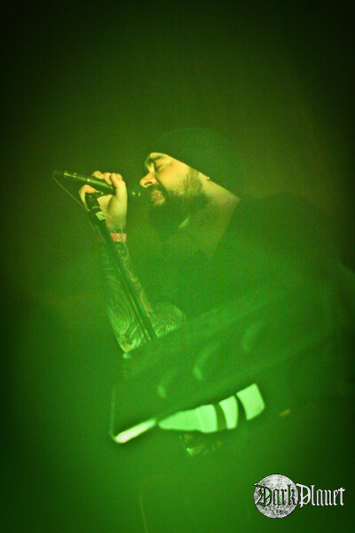 Ulver