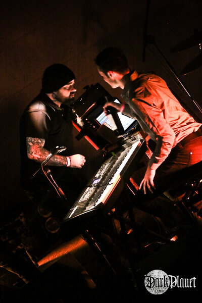 Ulver