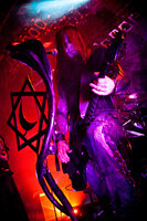 Behemoth