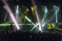 Sisters Of Mercy