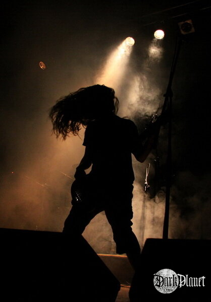 Feral