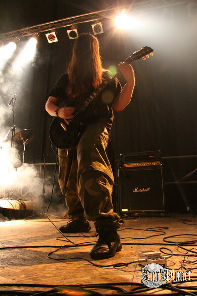 Feral