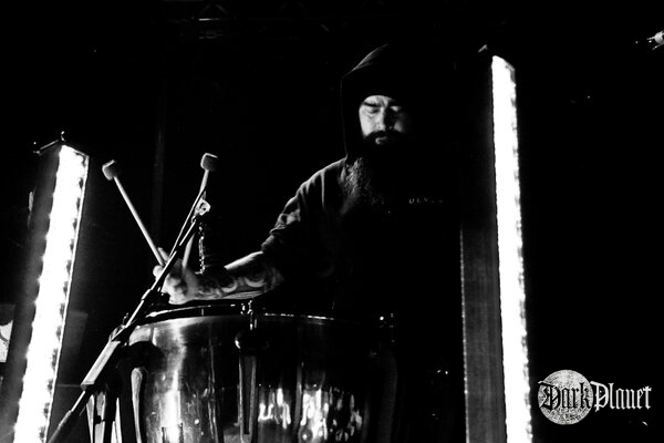 Ulver