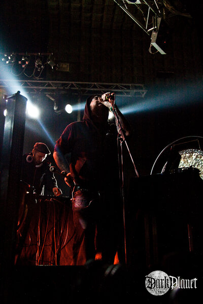 Ulver