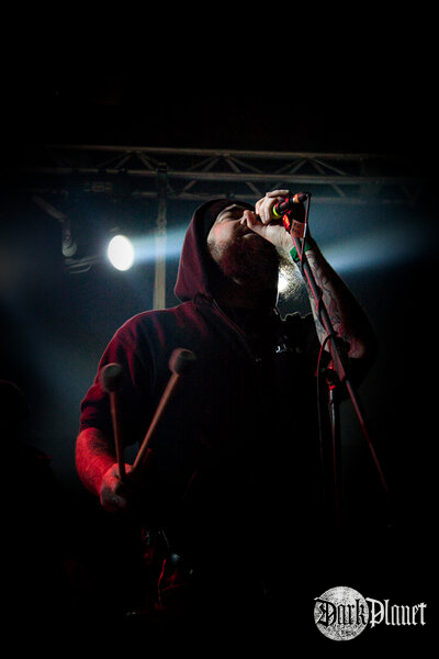 Ulver