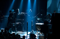 Ulver