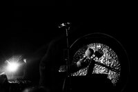 Ulver