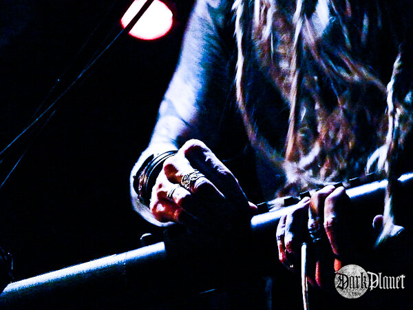 Jarboe