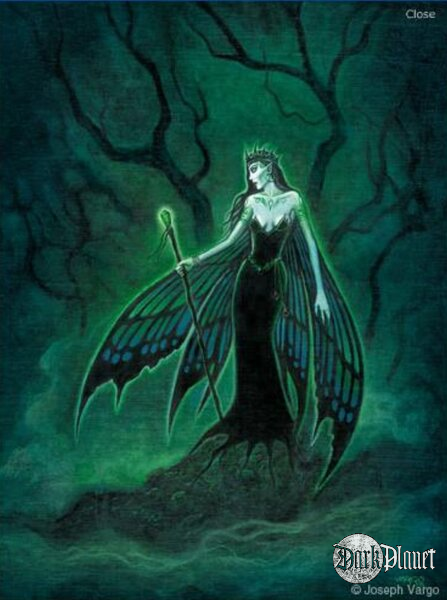 Emerald Forest ...