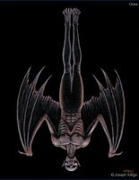 The Hanged Man ...