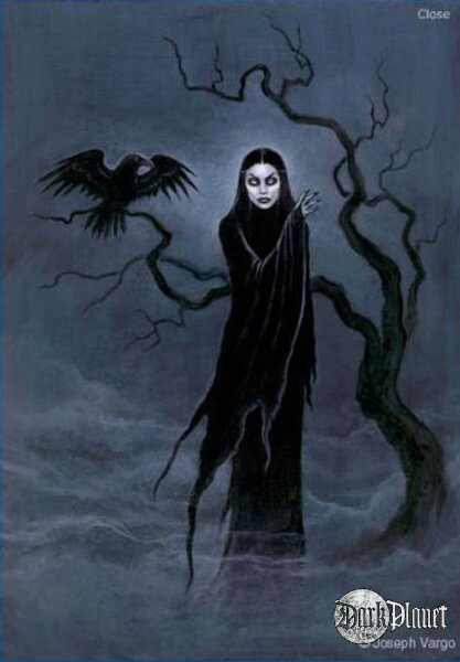 Raven ...