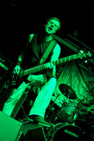 Sellisternium, Hateseed