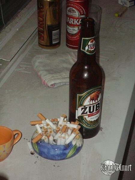 Jeżyk i Żubr ;)