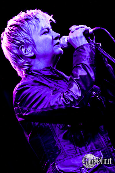 Anne Clark