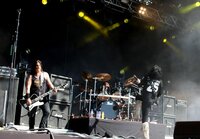 W.A.S.P.