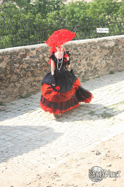 Castle Party 2012