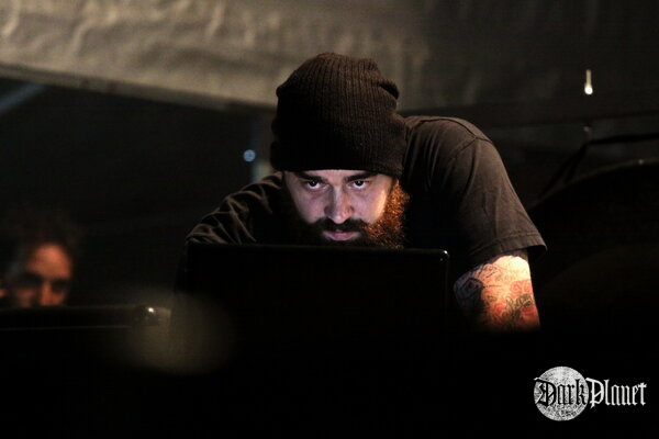 Ulver