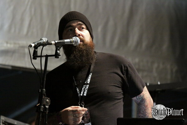 Ulver