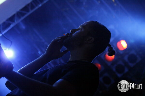 Ulver