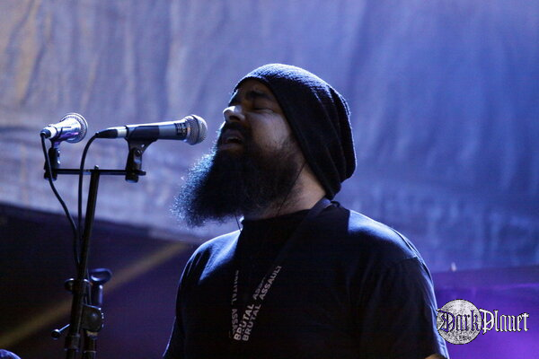 Ulver