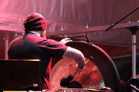 Ulver