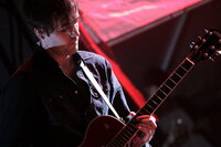Ulver