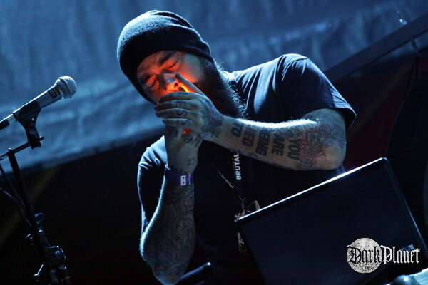 Ulver