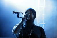 Ulver