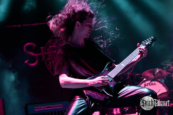 Sirenia