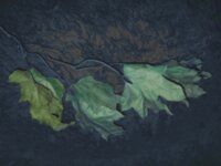 Melancholia
