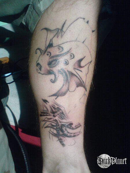 Biomechanical koi fish in progress