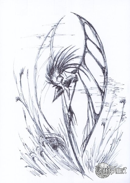 Sorrow