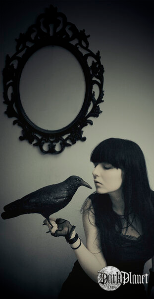 the raven