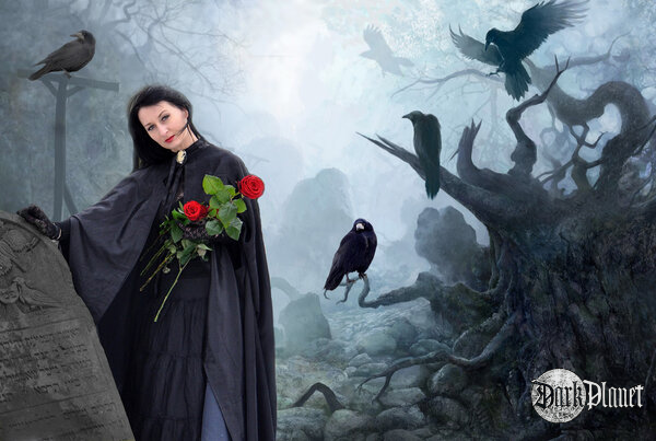 Ravens