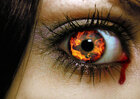 amylee
