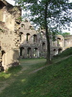 Zamek Świny