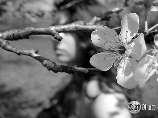 Shady Spring.