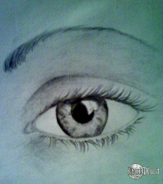 eye