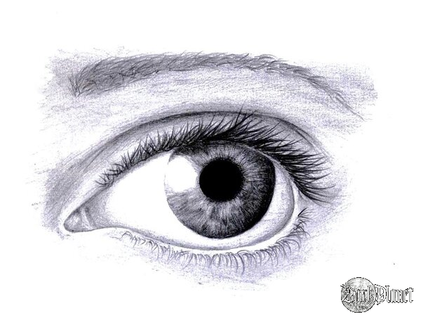 Eye