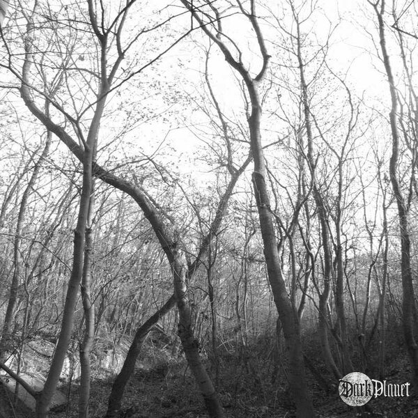 Prawie jak Blair Witch