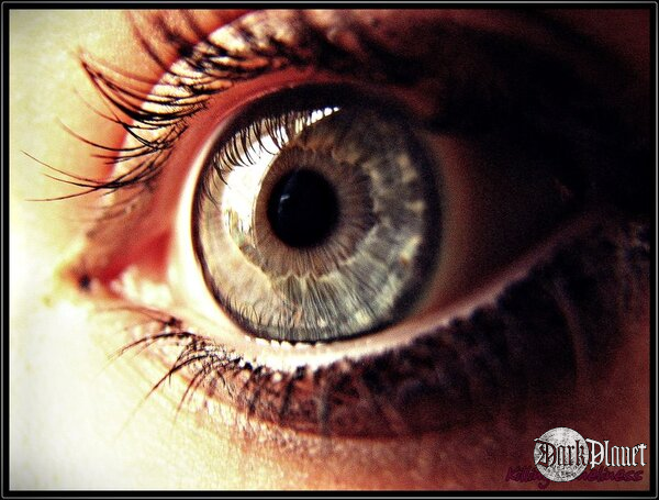 The Eye