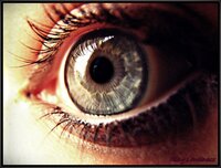 The Eye