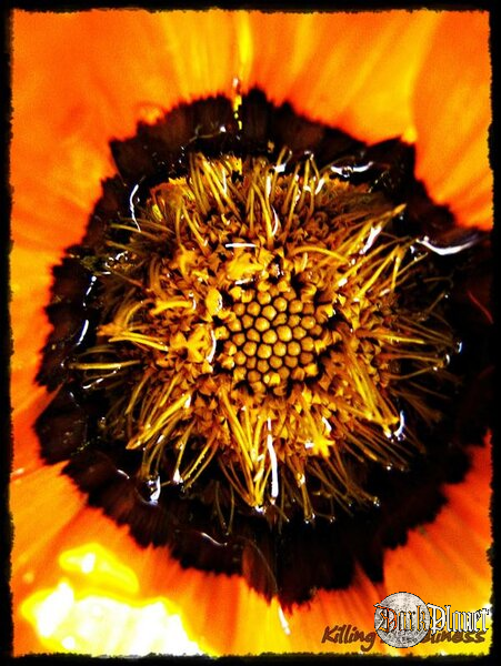 Orange.